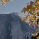 Half Dome photo with fall leaves in front.