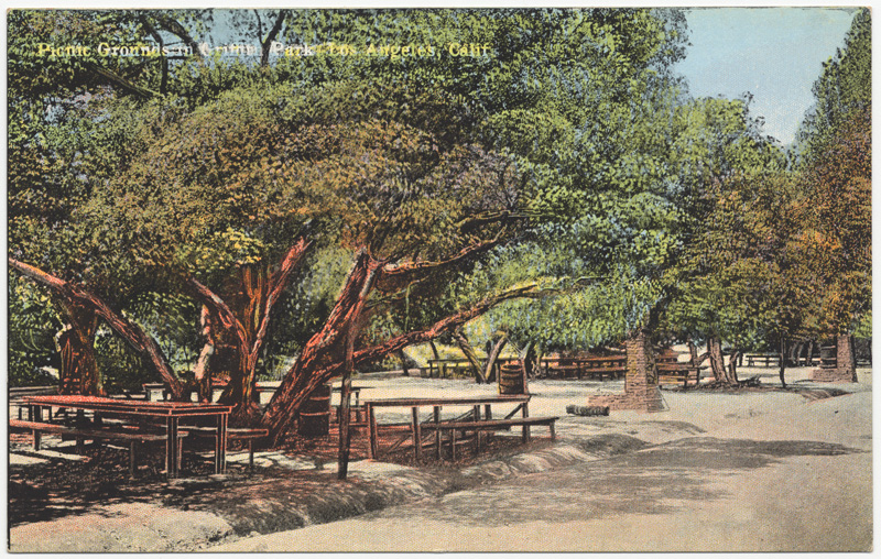 Shows several trees and picnic benches